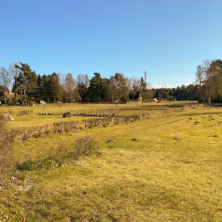 In Den Wiesen App 3 * Prerow